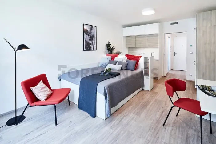Pronájem bytu 1+kk, Praha - Libeň, Kurta Konráda, 30 m2