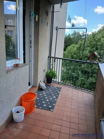 Pronájem bytu 3+1, Hradec Králové, Čajkovského, 83 m2