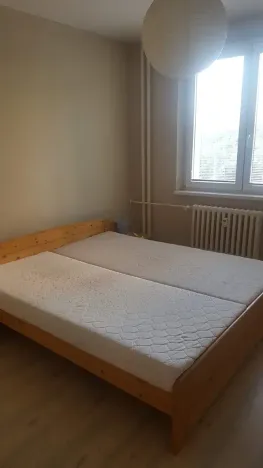 Prodej bytu 2+kk, Brno, Svážná, 49 m2