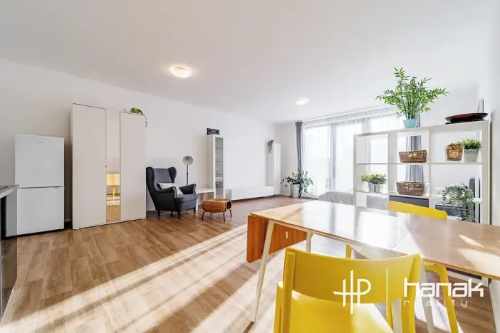 Pronájem bytu 1+kk, Olomouc, Dlouhá, 50 m2