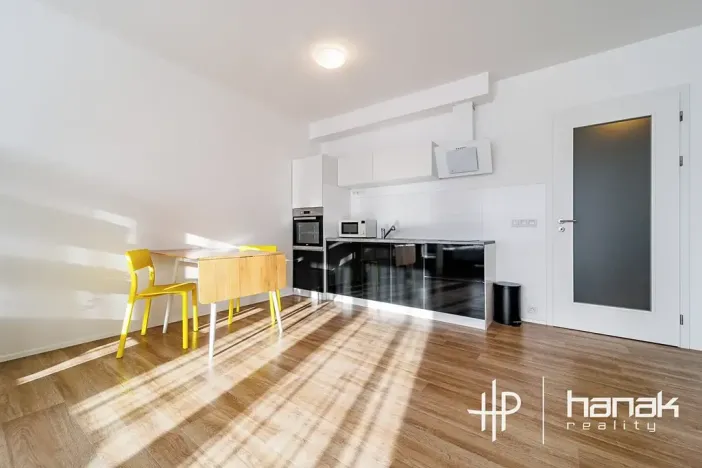 Pronájem bytu 1+kk, Olomouc, Dlouhá, 50 m2