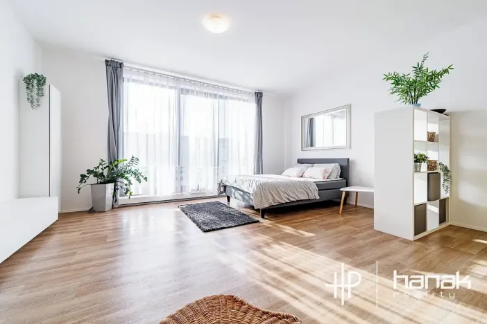Pronájem bytu 1+kk, Olomouc, Dlouhá, 50 m2