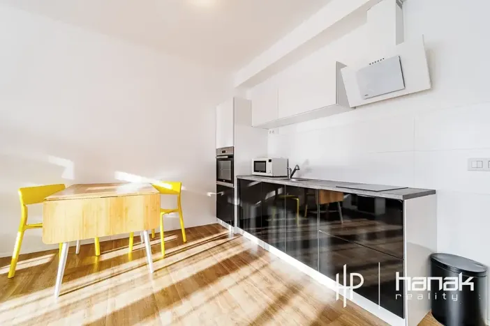 Pronájem bytu 1+kk, Olomouc, Dlouhá, 50 m2