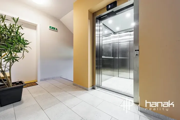 Pronájem bytu 1+kk, Olomouc, Dlouhá, 50 m2