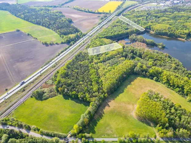 Prodej lesa, Srch - Pohránov, 12208 m2