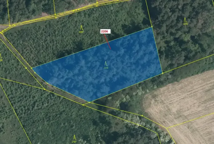 Dražba lesa, Louňovice pod Blaníkem, 4560 m2