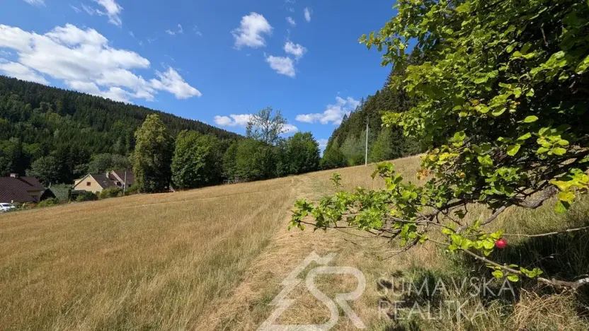 Prodej pozemku, Petrovice u Sušice - Pařezí, 4773 m2