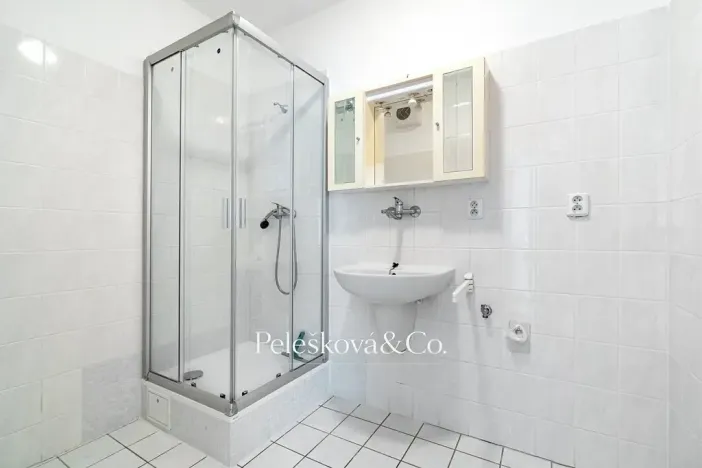 Prodej bytu 2+kk, Dolní Břežany, Za Sídlištěm, 58 m2