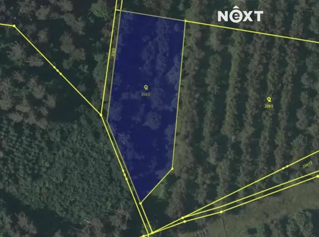 Prodej chalupy, Lhenice, Netolická, 335 m2