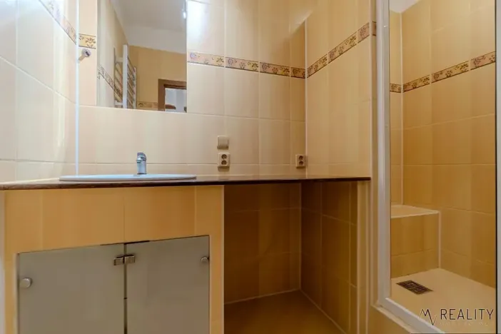 Pronájem bytu 2+1, Ostrava, Slavíkova, 52 m2