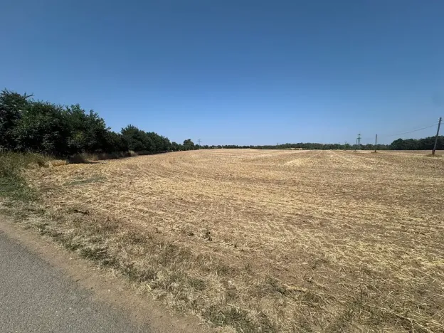 Prodej zahrady, Ořechov, 500 m2