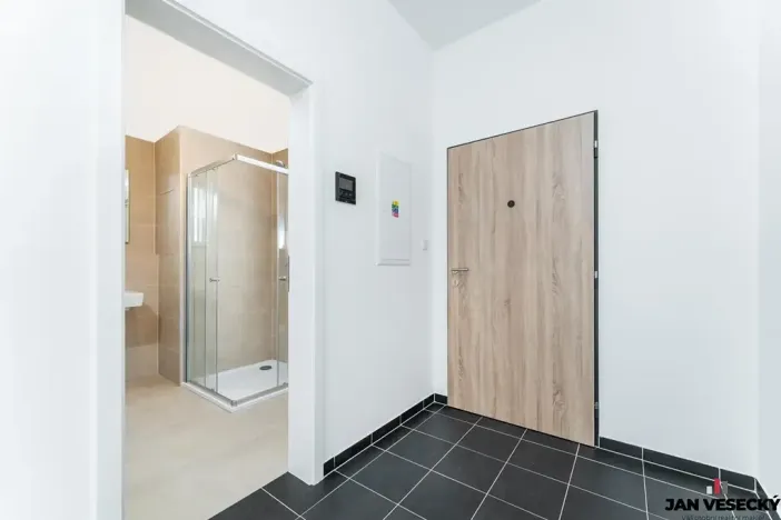 Prodej bytu 1+kk, Plzeň, Železná, 34 m2