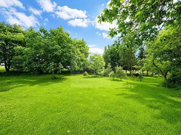 Prodej rodinného domu, Lipovec, 4500 m2