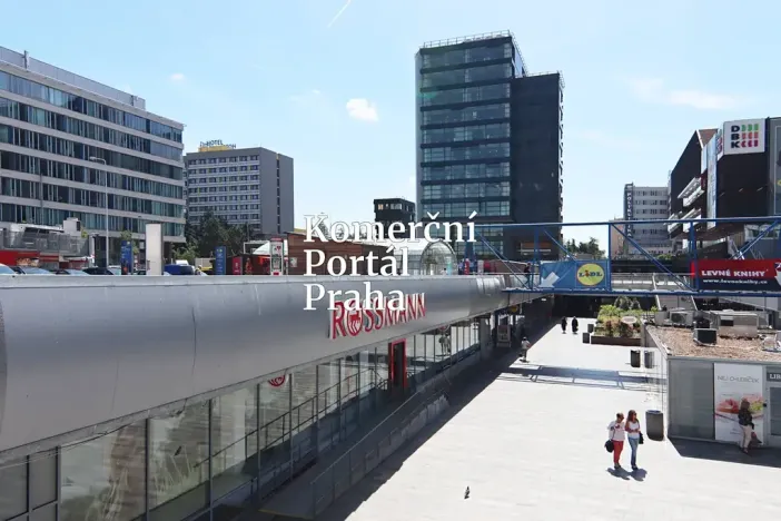 Pronájem obchodního prostoru, Praha - Krč, Olbrachtova, 450 m2