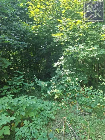 Prodej pozemku pro bydlení, Kozlovice, 1392 m2