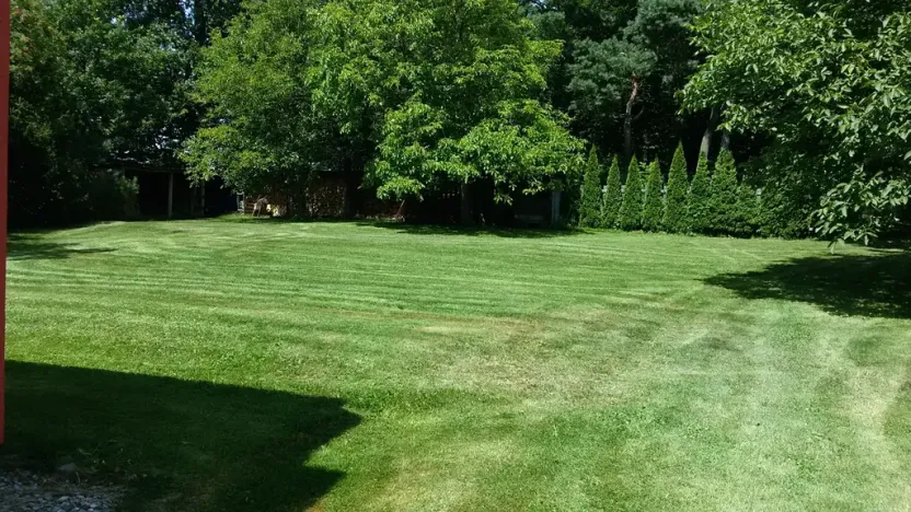 Prodej chalupy, Suchdol, 210 m2