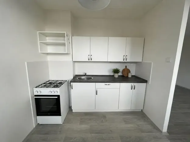 Pronájem bytu 1+1, Litvínov, Bezručova, 42 m2