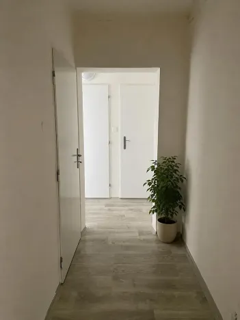 Pronájem bytu 1+1, Litvínov, Bezručova, 42 m2