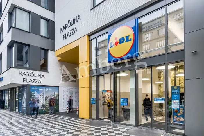 Pronájem bytu 1+kk, Praha - Karlín, Sokolovská, 28 m2