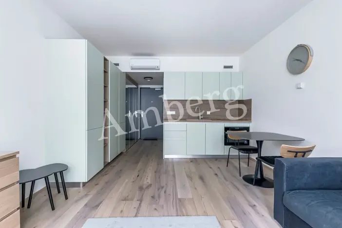 Pronájem bytu 1+kk, Praha - Karlín, Sokolovská, 28 m2