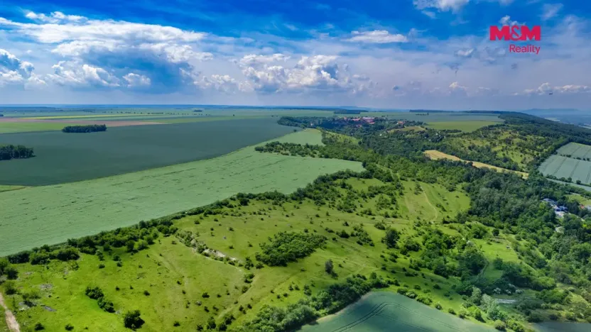 Prodej lesa, Libochovice - Poplze, 49399 m2