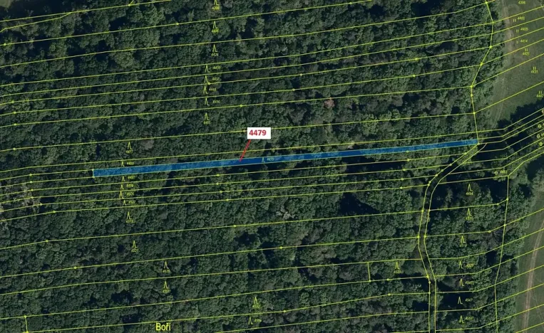 Dražba lesa, Hradčovice, 782 m2