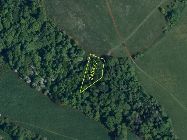 Dražba louky, Mírová pod Kozákovem, 1000 m2