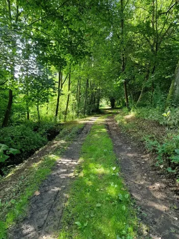 Prodej pozemku pro bydlení, Jedlá, 2598 m2