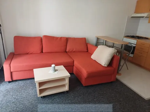 Pronájem bytu 1+kk, Praha - Sedlec, 25 m2