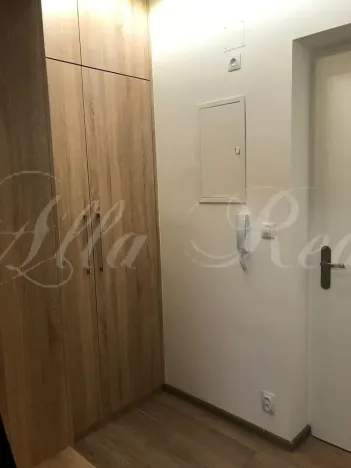 Pronájem bytu 2+kk, Brno - Zábrdovice, Francouzská, 40 m2