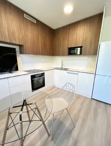Pronájem bytu 1+kk, Brno - Štýřice, Sovinec, 30 m2