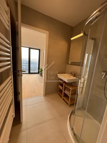 Pronájem bytu 1+kk, Praha - Holešovice, V háji, 36 m2