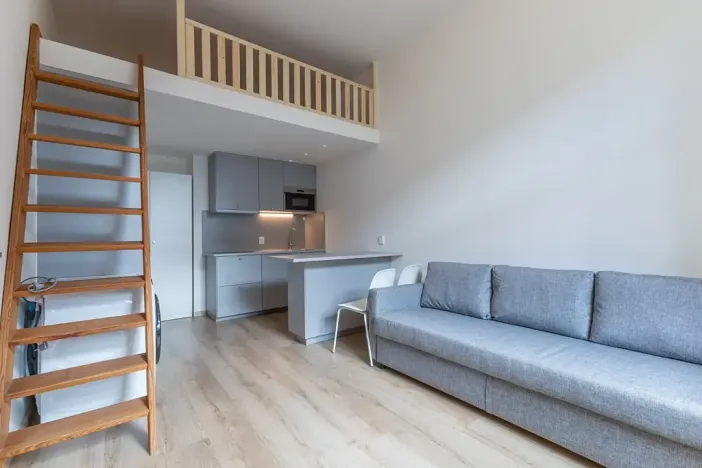 Pronájem bytu 1+kk, Praha - Holešovice, Na Maninách, 27 m2