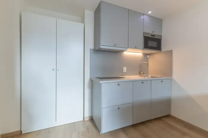 Pronájem bytu 1+kk, Praha - Holešovice, Na Maninách, 27 m2