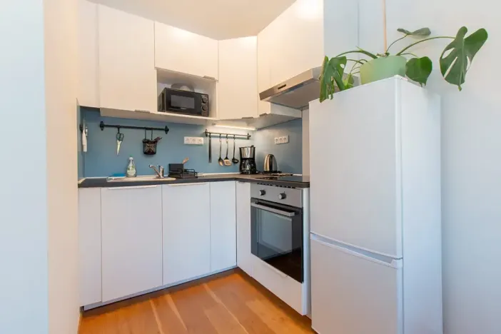 Pronájem bytu 2+kk, Praha - Vinohrady, Perucká, 40 m2