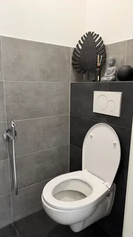 Pronájem rodinného domu, Holubice, 130 m2