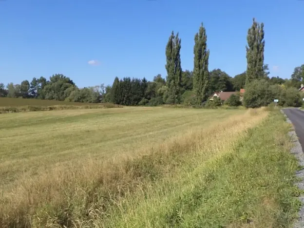 Dražba louky, Srby, 2383 m2