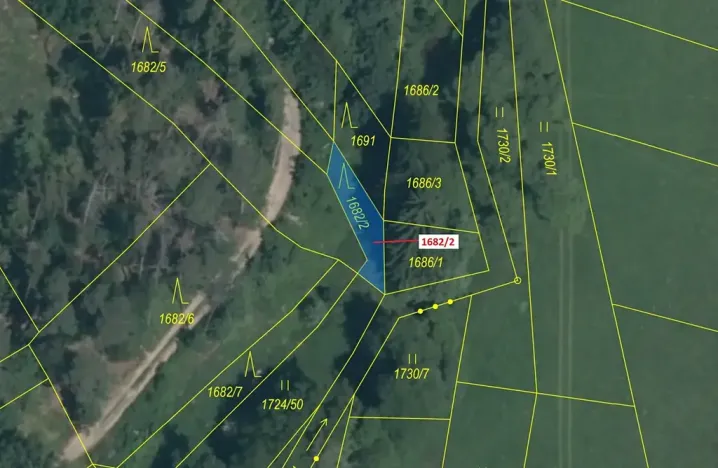 Dražba lesa, Trhový Štěpánov, 89 m2