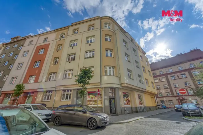 Pronájem bytu 1+1, Plzeň - Jižní Předměstí, Čechova, 43 m2