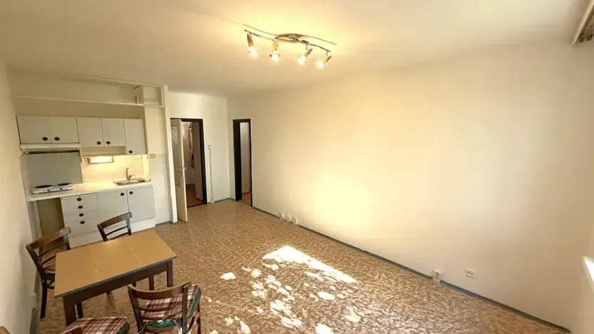Pronájem bytu 1+kk, Praha - Chodov, Nad Opatovem, 30 m2