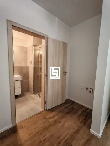 Pronájem bytu 1+kk, Olomouc, Loudova, 36 m2