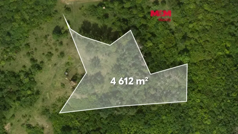 Prodej lesa, Libochovice - Dubany, 8199 m2
