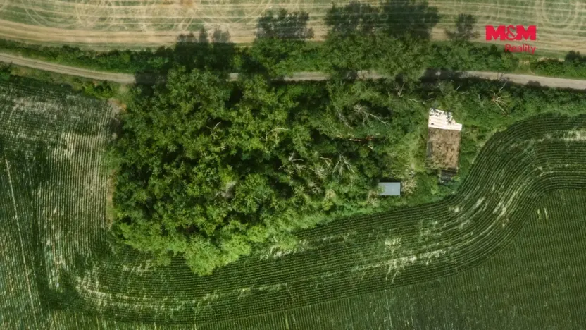 Prodej lesa, Libochovice - Dubany, 8199 m2