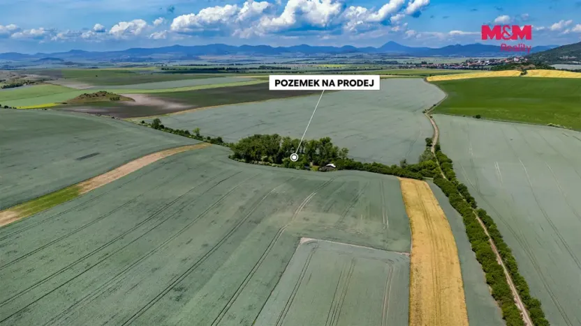 Prodej lesa, Libochovice - Dubany, 8199 m2