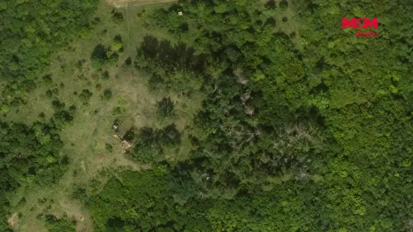 Prodej lesa, Libochovice - Dubany, 8199 m2