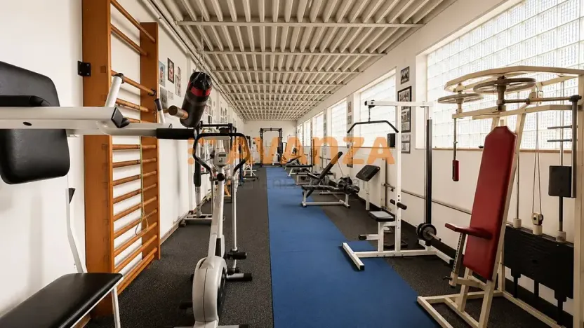 Prodej komerční nemovitosti, Děčín, Riegrova, 1200 m2