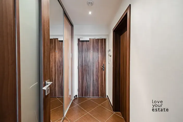 Pronájem bytu 1+kk, Praha - Žižkov, Olšanská, 36 m2