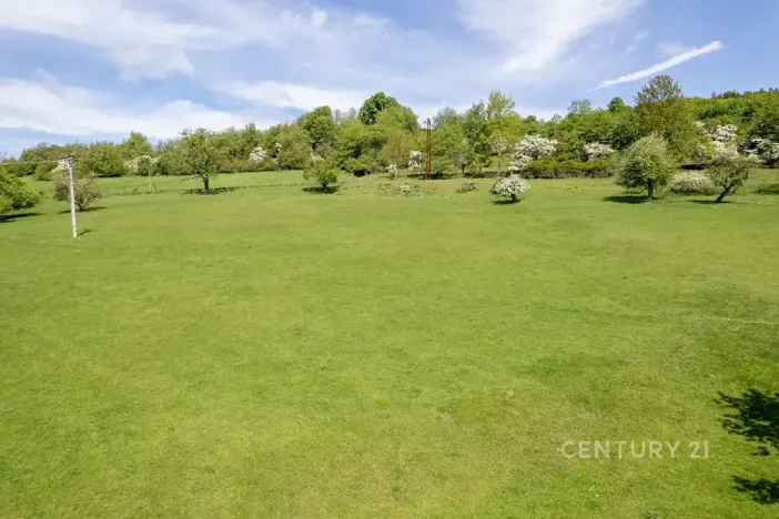 Prodej pozemku, Velká Bukovina, 6600 m2