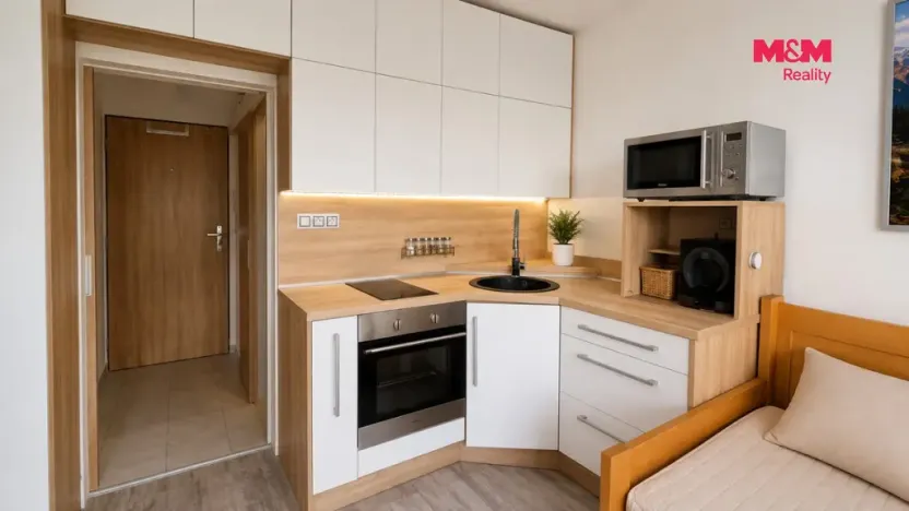 Prodej bytu 1+kk, Ostrava - Hrabůvka, Krakovská, 20 m2
