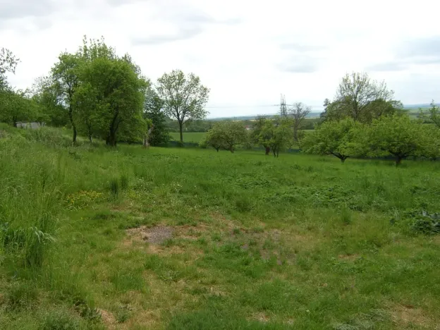 Prodej rodinného domu, Jenišovice - Mravín, 100 m2